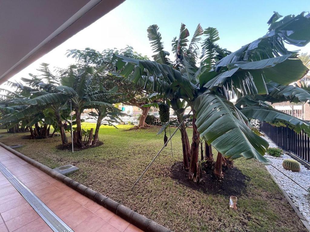 Seaview Apartment Los Cactus Playa del Inglés Exteriér fotografie